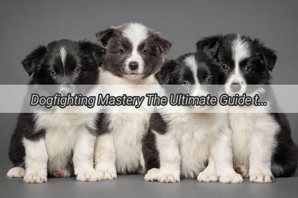 Dogfighting Mastery The Ultimate Guide to Canine Combat Techniques